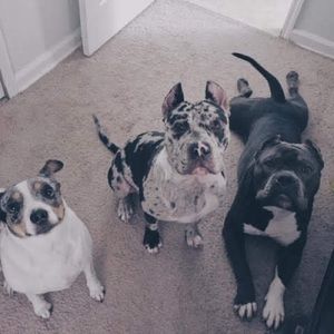 Meet your Posher, Debbie